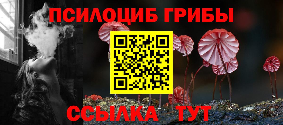 Псилоцибиновые грибы мицелий Томск